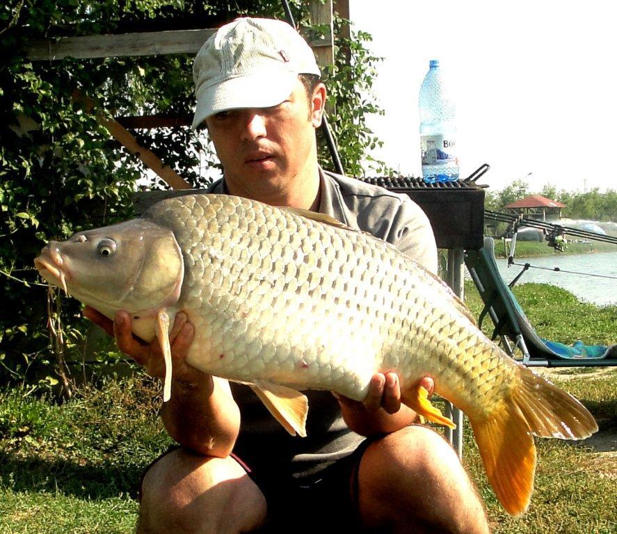 Floarea Popestiului 7 - 7 oct. - DSC07525.jpg